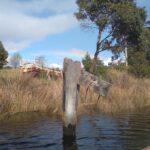 Some Franklin Boat History